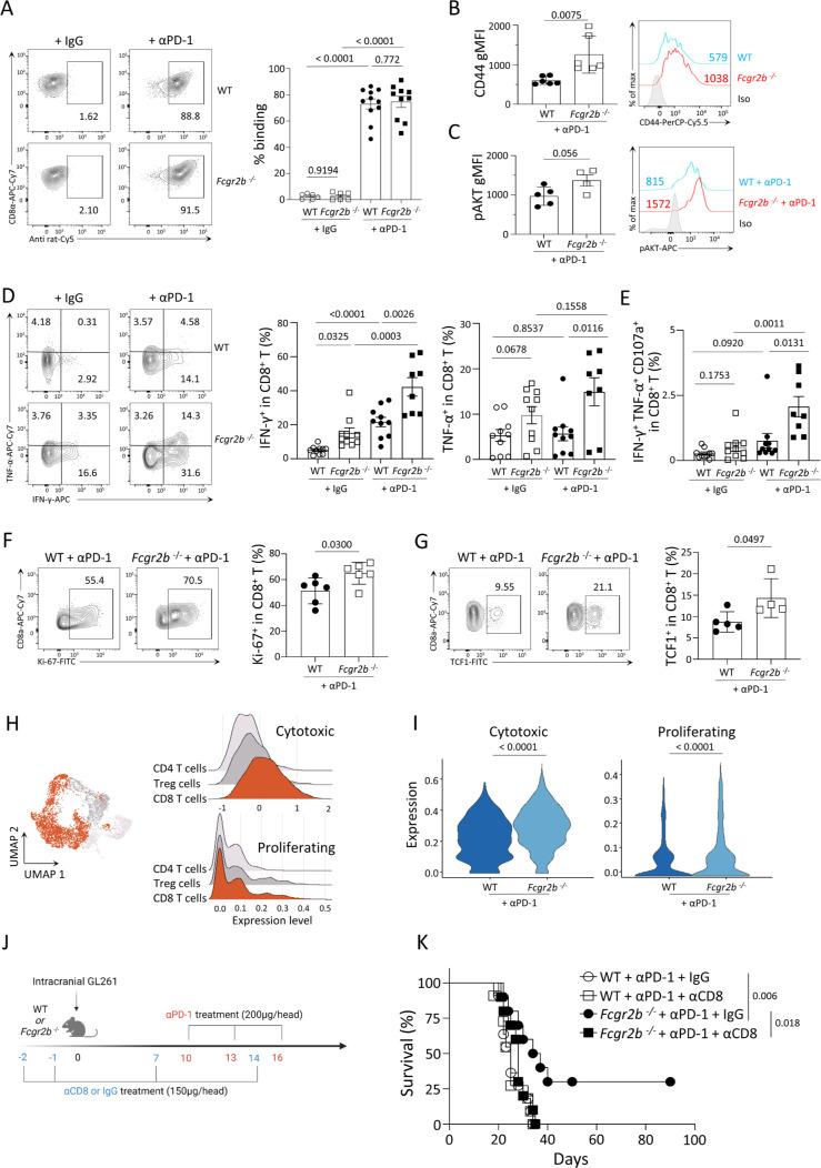 https://cdn.ncbi.nlm.nih.gov/pmc/blobs/17b6/11529582/762b288425ce/jitc-12-10-g002.jpg