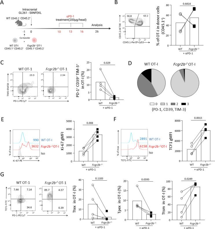 https://cdn.ncbi.nlm.nih.gov/pmc/blobs/17b6/11529582/878a267c0cb2/jitc-12-10-g004.jpg