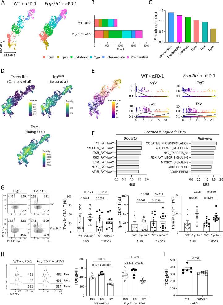 https://cdn.ncbi.nlm.nih.gov/pmc/blobs/17b6/11529582/c2708992fdd4/jitc-12-10-g003.jpg