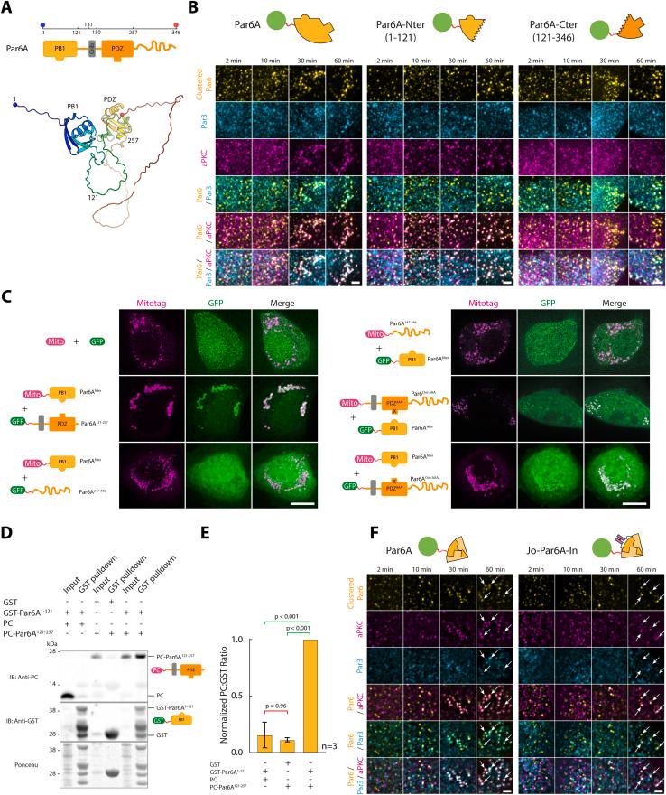 https://cdn.ncbi.nlm.nih.gov/pmc/blobs/17b7/10765089/9833f4ecd6ed/figs7.jpg