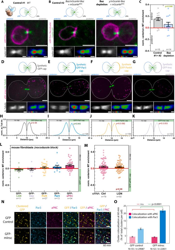 https://cdn.ncbi.nlm.nih.gov/pmc/blobs/17b7/10765089/a2ebe0a537da/figs9.jpg
