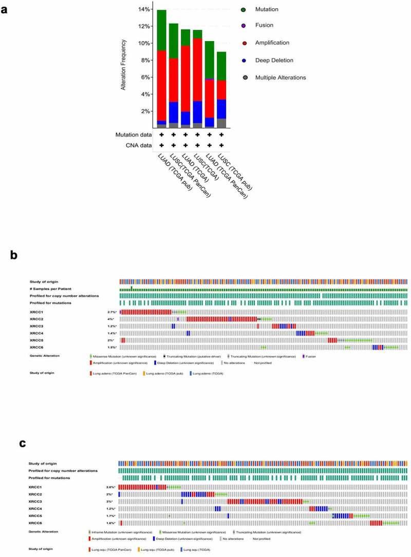 https://cdn.ncbi.nlm.nih.gov/pmc/blobs/17b7/8806547/21d600ce7dea/KBIE_A_1964193_F0003_OC.jpg