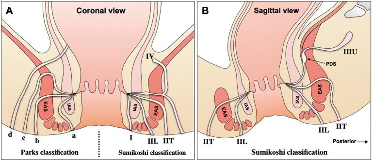 https://cdn.ncbi.nlm.nih.gov/pmc/blobs/17b8/12035341/ac7e7e0999e4/2432-3853-9-0244-g001.jpg
