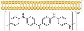 https://cdn.ncbi.nlm.nih.gov/pmc/blobs/17ba/5836925/bd317f1cd4c7/CBIC-19-288-g024.jpg