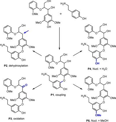 https://cdn.ncbi.nlm.nih.gov/pmc/blobs/17ba/5836925/e83c365c2903/CBIC-19-288-g011.jpg