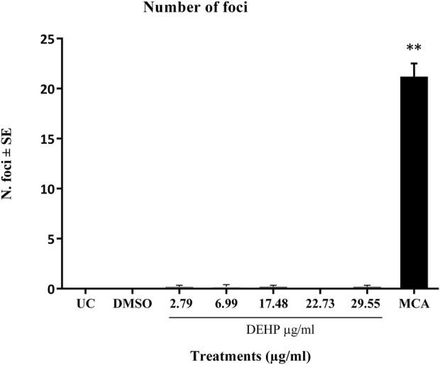 https://cdn.ncbi.nlm.nih.gov/pmc/blobs/17bb/11300235/8d25fd0aadd5/ftox-06-1389160-g002.jpg