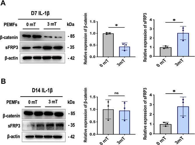 https://cdn.ncbi.nlm.nih.gov/pmc/blobs/17bd/11301989/1ced2ebe8758/12967_2024_5470_Fig8_HTML.jpg