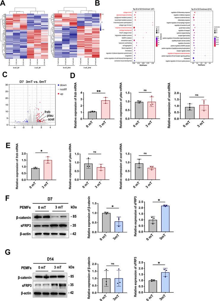 https://cdn.ncbi.nlm.nih.gov/pmc/blobs/17bd/11301989/259cc273ec8b/12967_2024_5470_Fig5_HTML.jpg