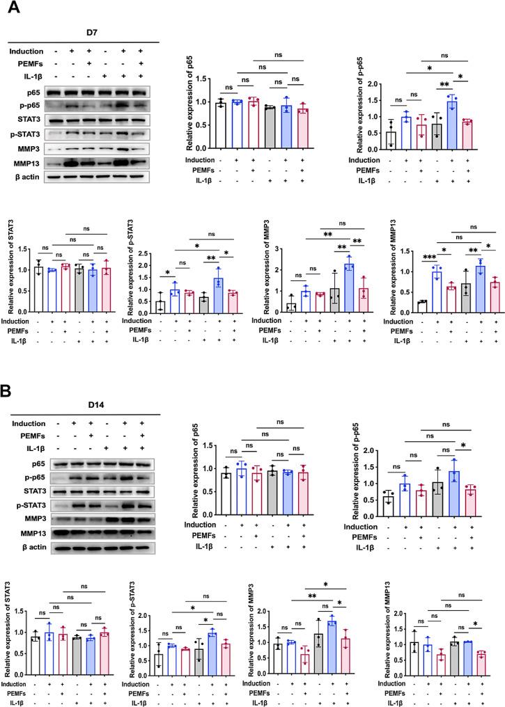 https://cdn.ncbi.nlm.nih.gov/pmc/blobs/17bd/11301989/35b9afd041bd/12967_2024_5470_Fig6_HTML.jpg