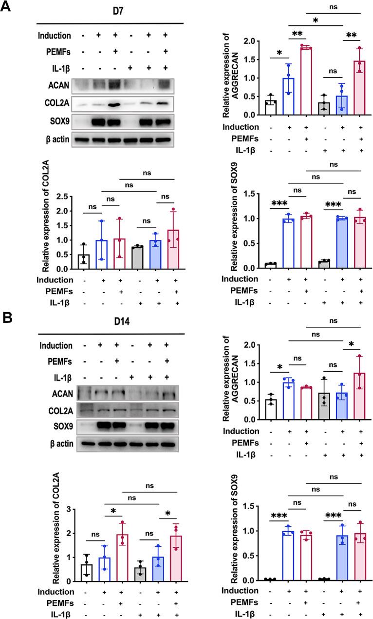 https://cdn.ncbi.nlm.nih.gov/pmc/blobs/17bd/11301989/d45872f0e95b/12967_2024_5470_Fig7_HTML.jpg