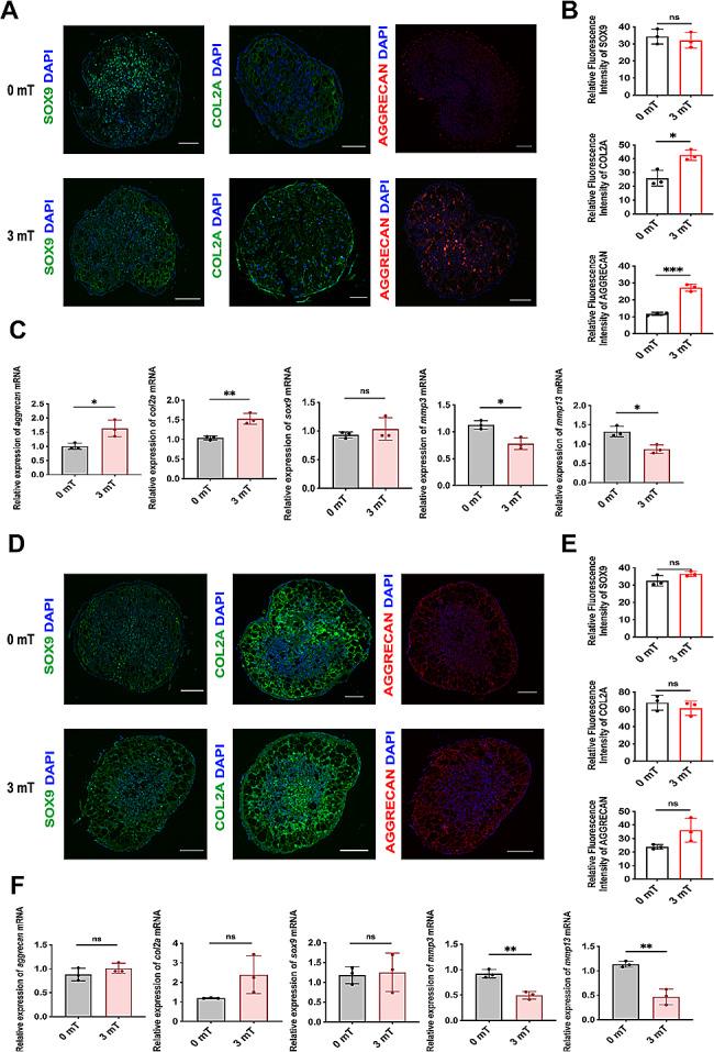 https://cdn.ncbi.nlm.nih.gov/pmc/blobs/17bd/11301989/feb26d1b6806/12967_2024_5470_Fig4_HTML.jpg