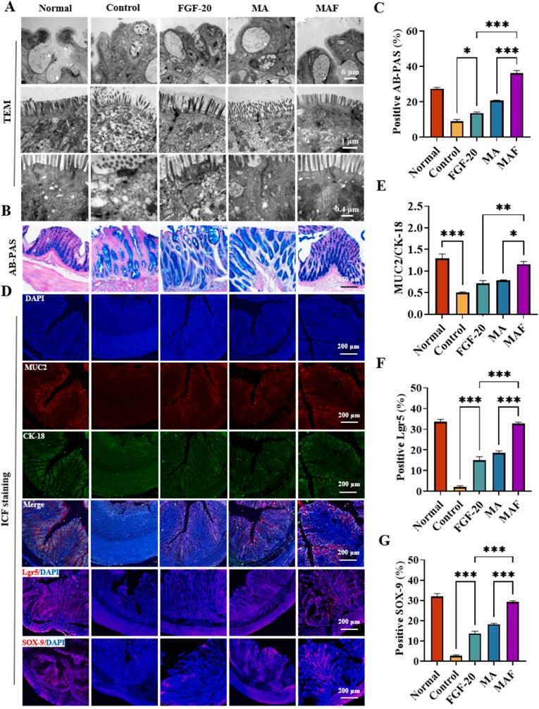 https://cdn.ncbi.nlm.nih.gov/pmc/blobs/17bd/12049826/9b19bb09f934/gr7.jpg