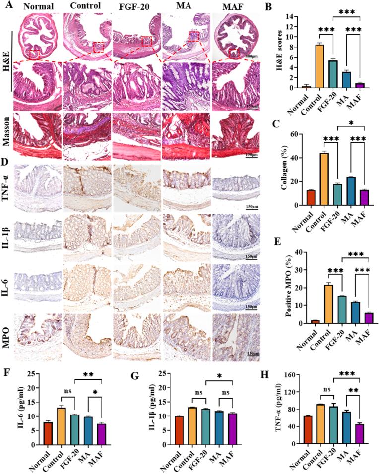 https://cdn.ncbi.nlm.nih.gov/pmc/blobs/17bd/12049826/eea9d5a2ee1a/gr5.jpg