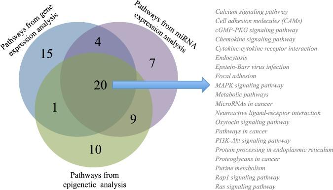 https://cdn.ncbi.nlm.nih.gov/pmc/blobs/17bd/6195584/4a6e887d31ed/41598_2018_33959_Fig7_HTML.jpg