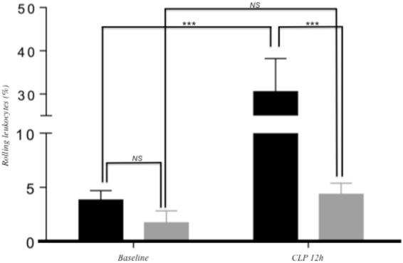 https://cdn.ncbi.nlm.nih.gov/pmc/blobs/17bd/6195584/ca6169ca0185/41598_2018_33959_Fig1_HTML.jpg