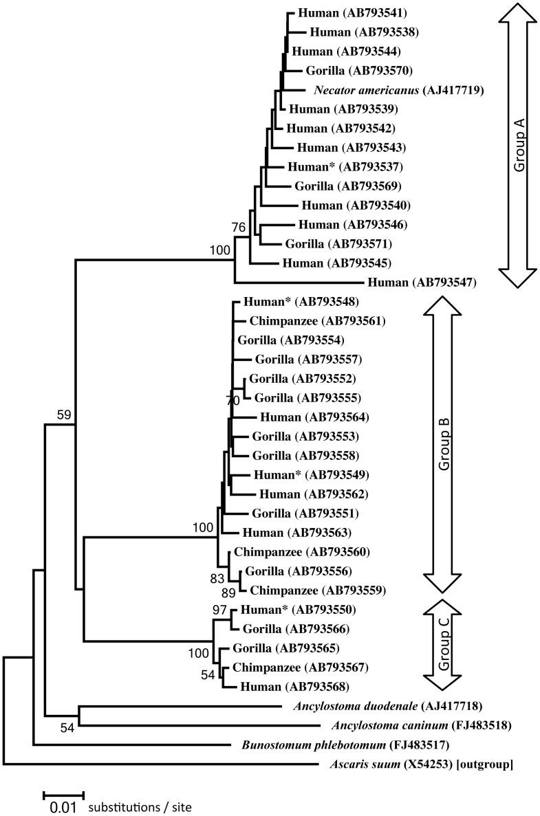 https://cdn.ncbi.nlm.nih.gov/pmc/blobs/17c0/3961186/187860cbf830/pntd.0002715.g006.jpg