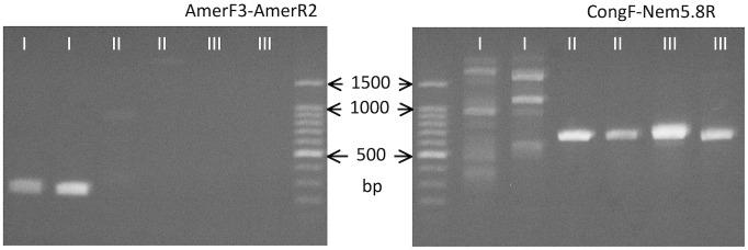 https://cdn.ncbi.nlm.nih.gov/pmc/blobs/17c0/3961186/1abe9dc80e64/pntd.0002715.g002.jpg