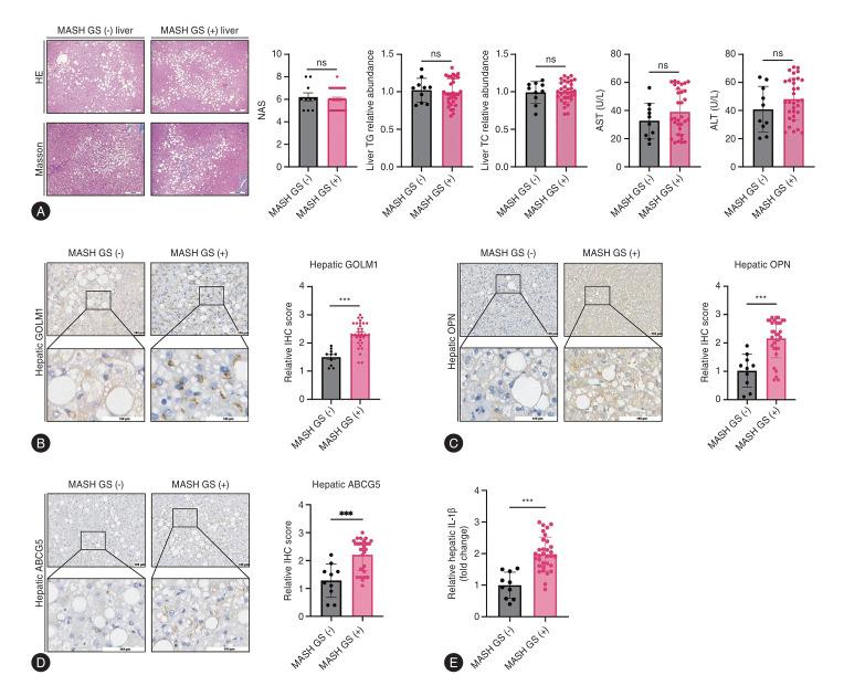 https://cdn.ncbi.nlm.nih.gov/pmc/blobs/17c3/12016653/556fca21cd88/cmh-2024-0657f6.jpg