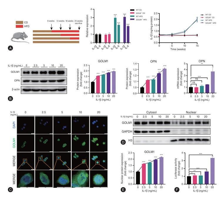 https://cdn.ncbi.nlm.nih.gov/pmc/blobs/17c3/12016653/92f1153a6547/cmh-2024-0657f5.jpg