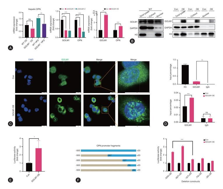 https://cdn.ncbi.nlm.nih.gov/pmc/blobs/17c3/12016653/c2d4835aeffe/cmh-2024-0657f4.jpg