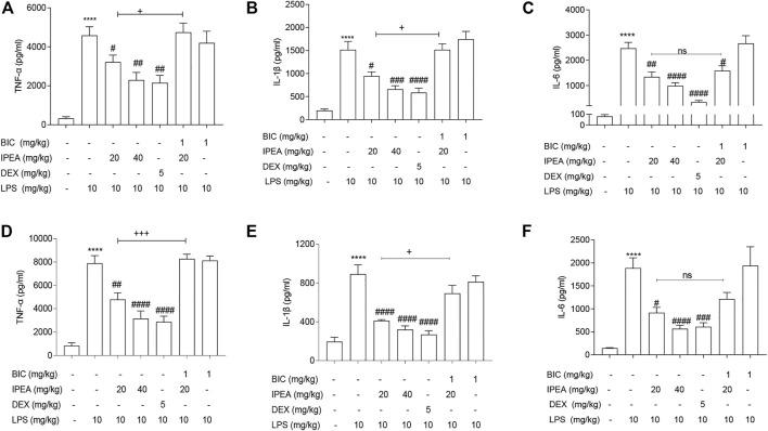 https://cdn.ncbi.nlm.nih.gov/pmc/blobs/17c6/8592923/873c8e56dfe5/fphar-12-753128-g006.jpg