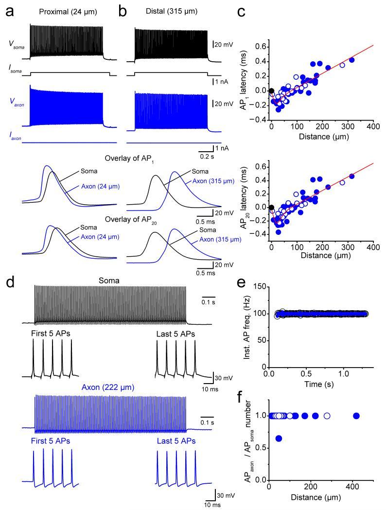 https://cdn.ncbi.nlm.nih.gov/pmc/blobs/17c7/4286295/a4fc61cef7f3/emss-57103-f0002.jpg
