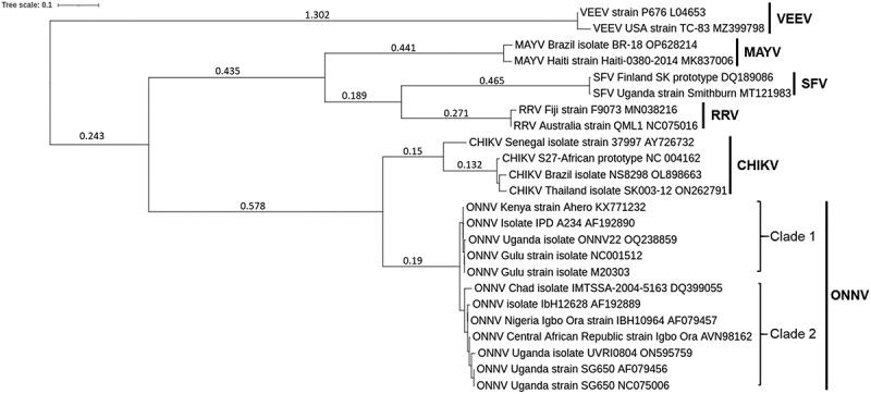 https://cdn.ncbi.nlm.nih.gov/pmc/blobs/17c8/11135837/a9e16574d97f/KVIR_A_2355201_F0001_B.jpg