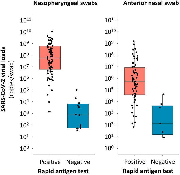 https://cdn.ncbi.nlm.nih.gov/pmc/blobs/17ca/10182653/6779b885d8b2/gr2_lrg.jpg