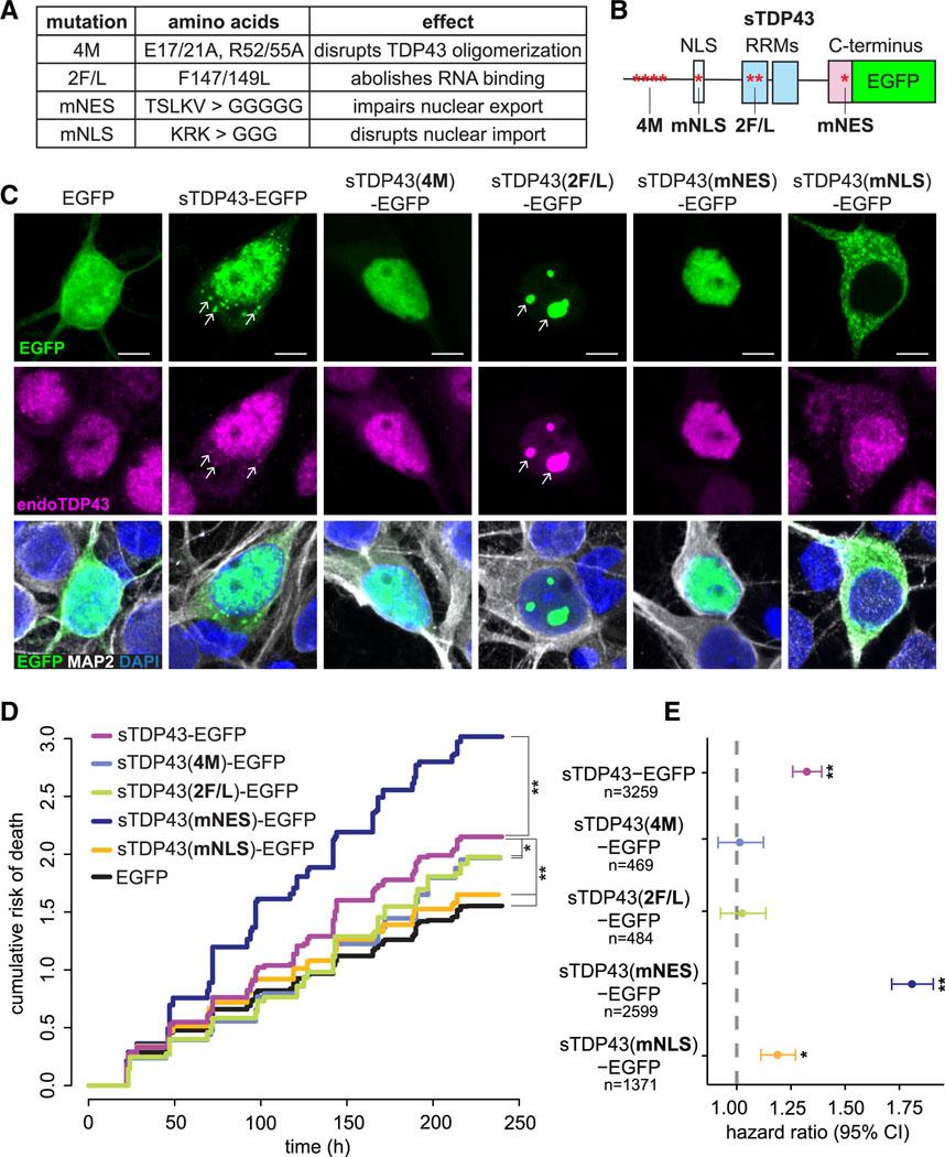 https://cdn.ncbi.nlm.nih.gov/pmc/blobs/17ca/11848802/6aa32499e91c/nihms-2052738-f0005.jpg
