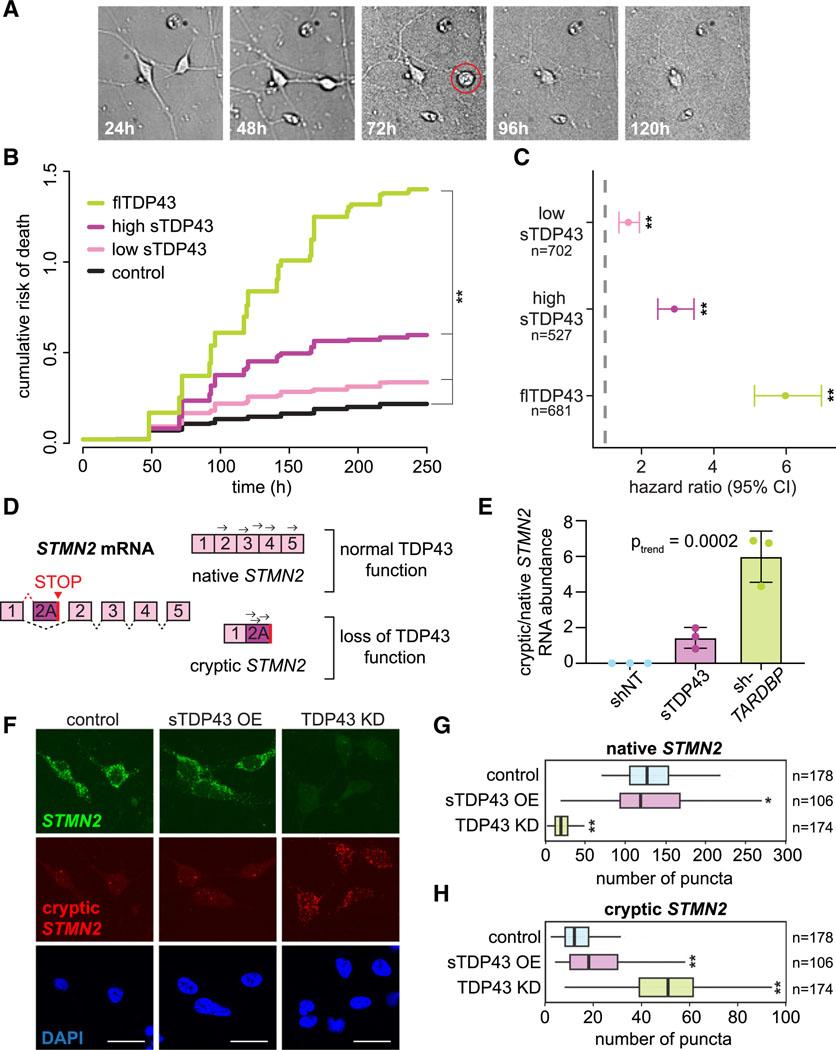 https://cdn.ncbi.nlm.nih.gov/pmc/blobs/17ca/11848802/d8465679e40c/nihms-2052738-f0007.jpg