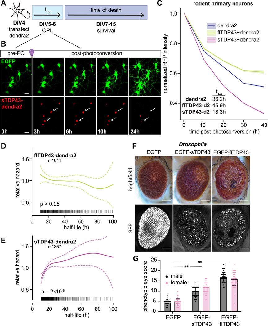 https://cdn.ncbi.nlm.nih.gov/pmc/blobs/17ca/11848802/f648d2e5ef8b/nihms-2052738-f0004.jpg