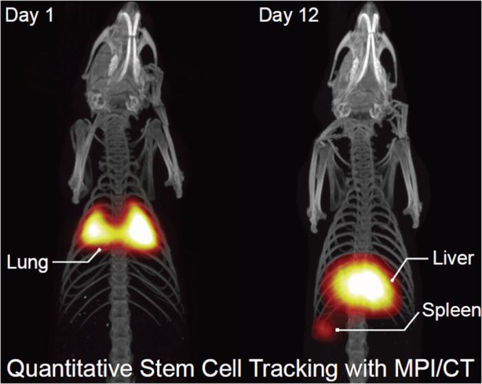 https://cdn.ncbi.nlm.nih.gov/pmc/blobs/17cb/5043240/47afdc5d7840/srep34180-f1.jpg