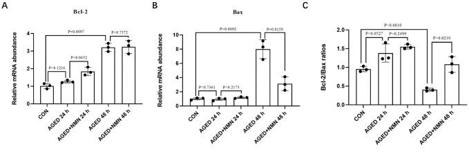 https://cdn.ncbi.nlm.nih.gov/pmc/blobs/17cc/10553265/ede6822f0fb0/pone.0291640.g006.jpg