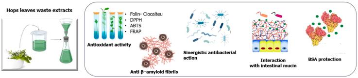 https://cdn.ncbi.nlm.nih.gov/pmc/blobs/17cd/11425108/010823ceff82/ga1.jpg