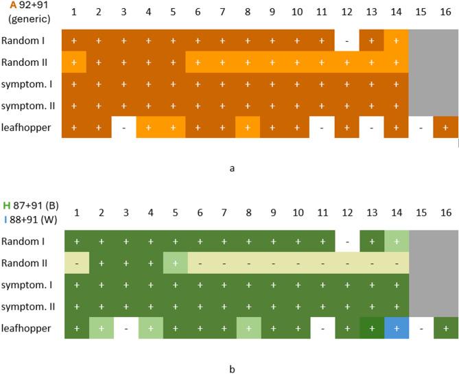 https://cdn.ncbi.nlm.nih.gov/pmc/blobs/17cd/12278524/5684295a8fd1/13007_2025_1420_Fig5_HTML.jpg