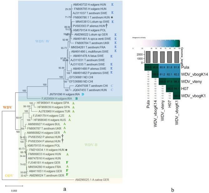 https://cdn.ncbi.nlm.nih.gov/pmc/blobs/17cd/12278524/a61a56da7220/13007_2025_1420_Fig7_HTML.jpg