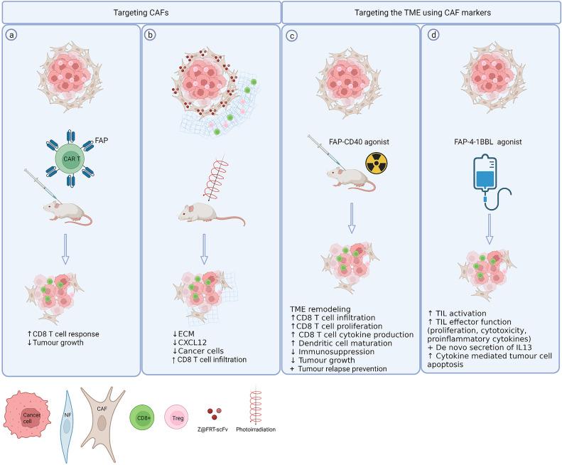 https://cdn.ncbi.nlm.nih.gov/pmc/blobs/17cd/9035846/24ed5ce87543/fimmu-13-887380-g002.jpg