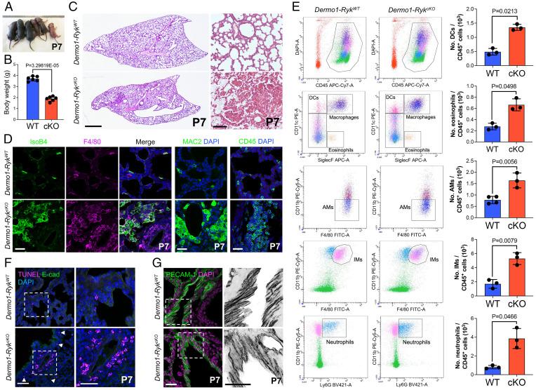 https://cdn.ncbi.nlm.nih.gov/pmc/blobs/17cd/9214544/95bcfa912291/pnas.2201707119fig02.jpg