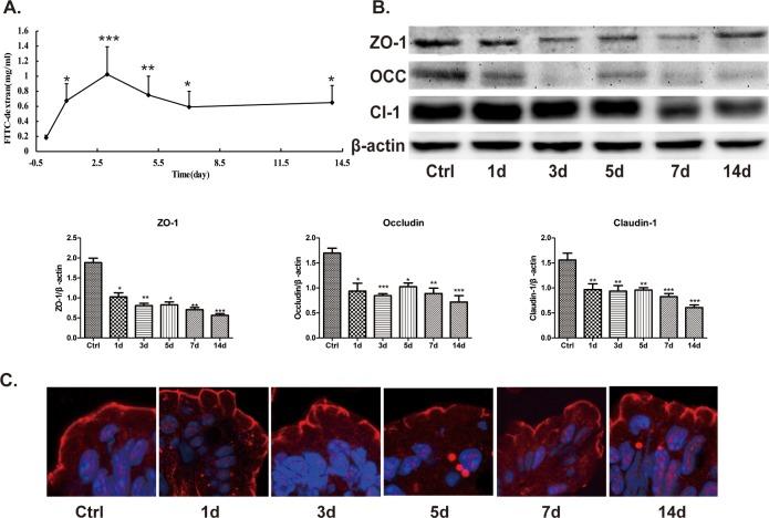 https://cdn.ncbi.nlm.nih.gov/pmc/blobs/17d1/6581431/d36a95fe0eab/pone.0218384.g005.jpg
