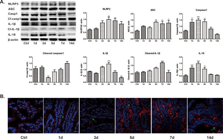 https://cdn.ncbi.nlm.nih.gov/pmc/blobs/17d1/6581431/f054b9020a69/pone.0218384.g006.jpg