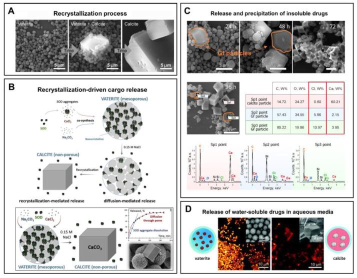https://cdn.ncbi.nlm.nih.gov/pmc/blobs/17d2/10674703/12d275f254c8/pharmaceutics-15-02574-g002.jpg