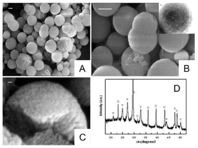 https://cdn.ncbi.nlm.nih.gov/pmc/blobs/17d2/10674703/b8c15290f3d8/pharmaceutics-15-02574-g019.jpg