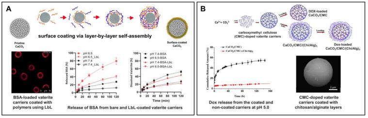 https://cdn.ncbi.nlm.nih.gov/pmc/blobs/17d2/10674703/e79556c1bb76/pharmaceutics-15-02574-g008.jpg