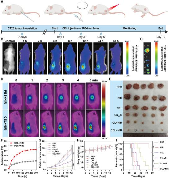 https://cdn.ncbi.nlm.nih.gov/pmc/blobs/17d3/12097029/81685f1898aa/ADVS-12-2500652-g004.jpg