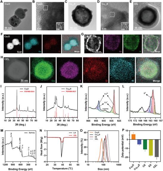 https://cdn.ncbi.nlm.nih.gov/pmc/blobs/17d3/12097029/9294ae1810f6/ADVS-12-2500652-g006.jpg