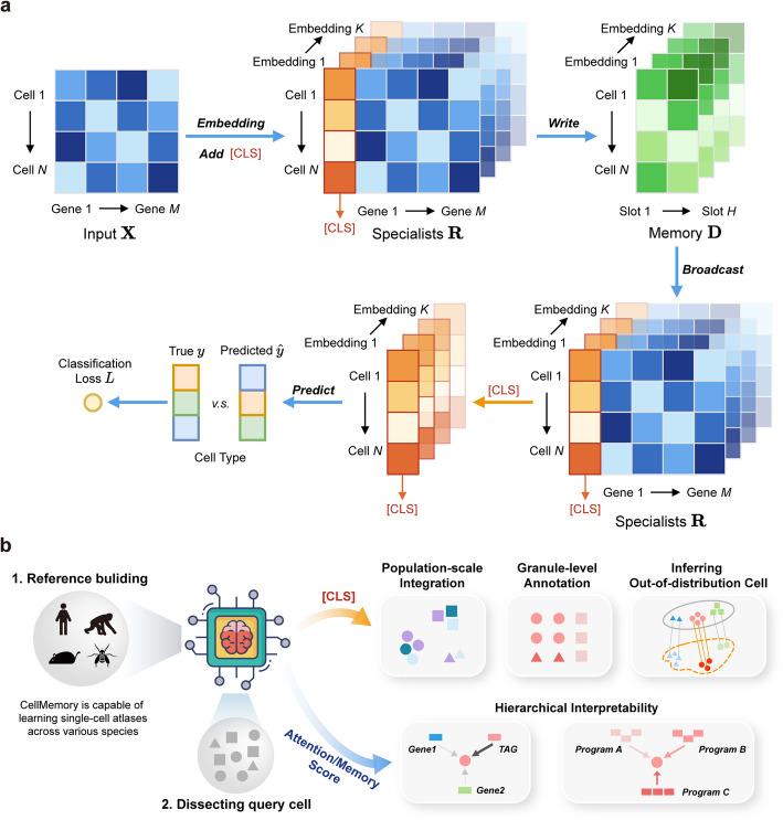 https://cdn.ncbi.nlm.nih.gov/pmc/blobs/17d3/12183866/8b83bc97bab6/13059_2025_3638_Fig1_HTML.jpg