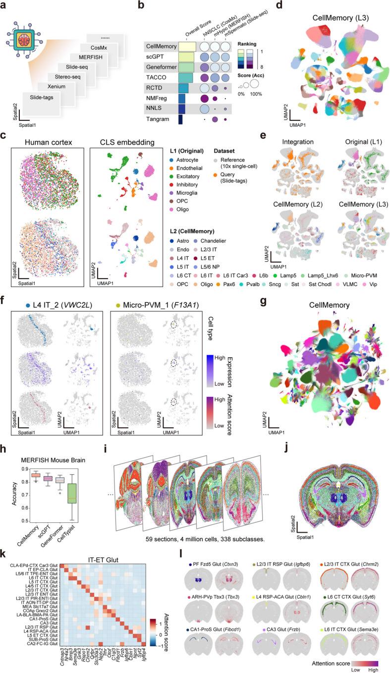 https://cdn.ncbi.nlm.nih.gov/pmc/blobs/17d3/12183866/b194d038dbc3/13059_2025_3638_Fig3_HTML.jpg