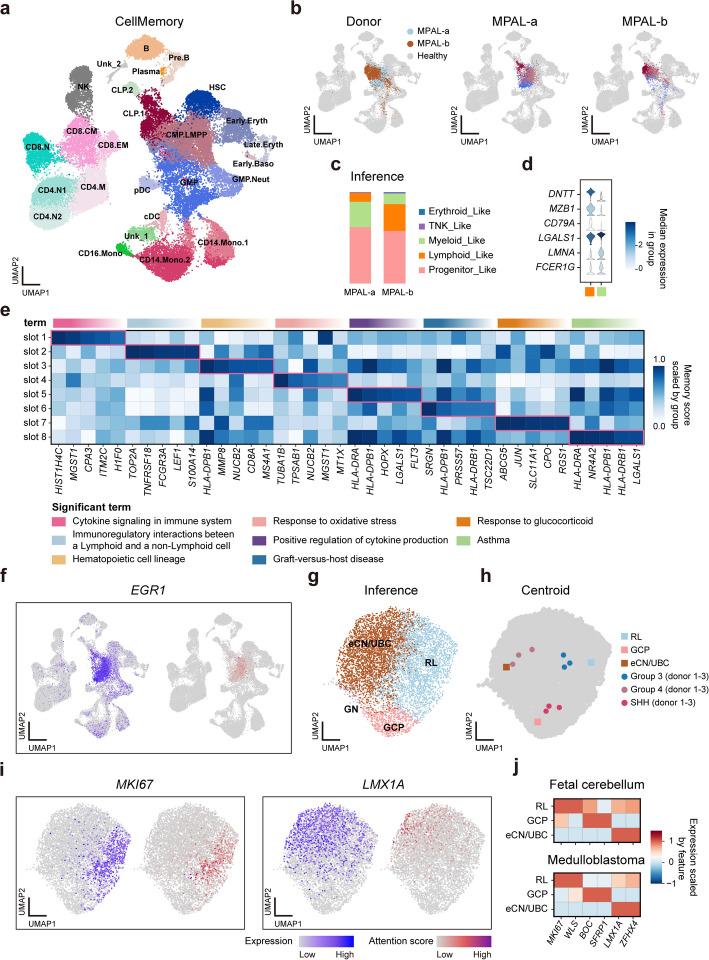 https://cdn.ncbi.nlm.nih.gov/pmc/blobs/17d3/12183866/fed06bff7635/13059_2025_3638_Fig5_HTML.jpg