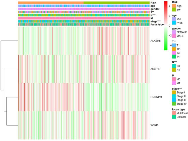 https://cdn.ncbi.nlm.nih.gov/pmc/blobs/17d3/7378910/72e438c71451/jcav11p5187g006.jpg