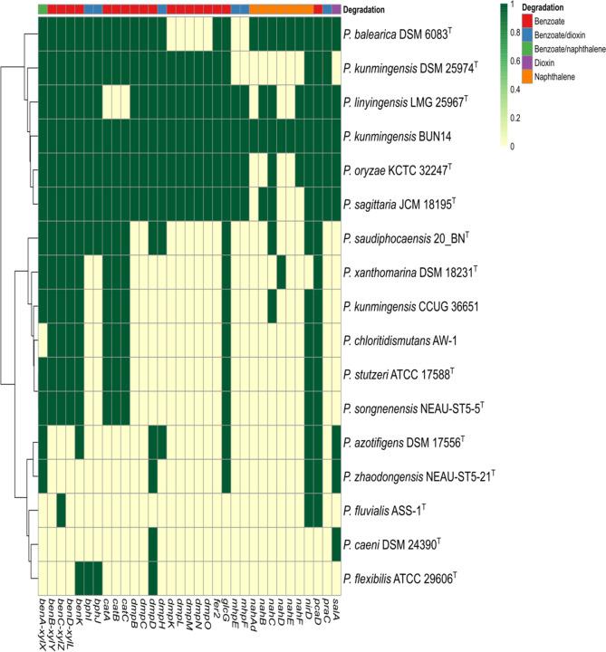 https://cdn.ncbi.nlm.nih.gov/pmc/blobs/17d4/8046798/57adf04a7f17/41598_2021_87487_Fig5_HTML.jpg